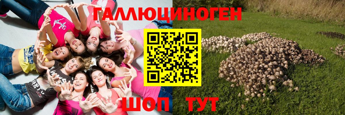 Галлюциногенные грибы GOLDEN TEACHER Анжеро-Судженск