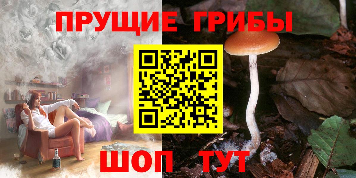 Галлюциногенные грибы GOLDEN TEACHER  где купить наркотик  Анжеро-Судженск  Вход с VPN 